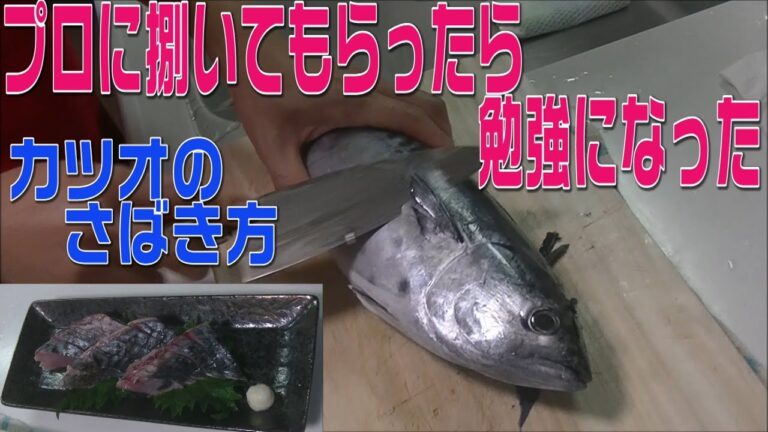プロがカツオをまるごとさばく！カツオをたたきにして刺身、握り、海鮮巻きを作る！プロにさばいてもらう企画パート１