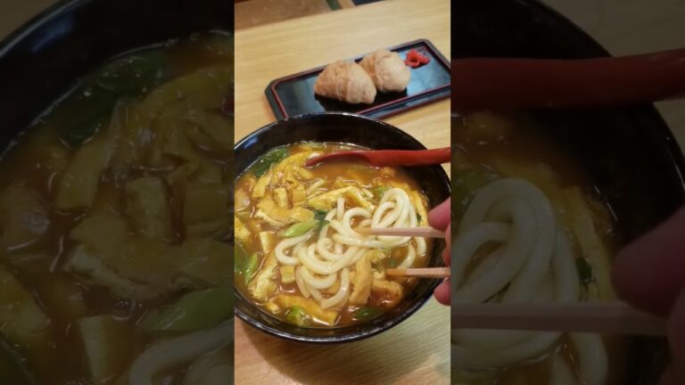 Delicious udon in Kyoto, 京都で美味しいうどん 石清