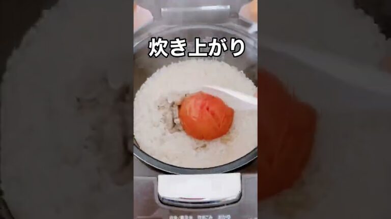 丸ごとトマトさけ缶痩せ飯