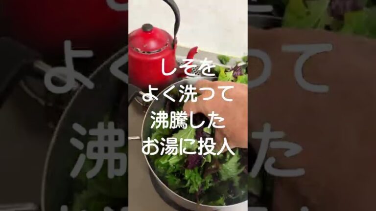 【家庭菜園】勝手に育ったシソをしそジュースにします。シソジュースの作り方