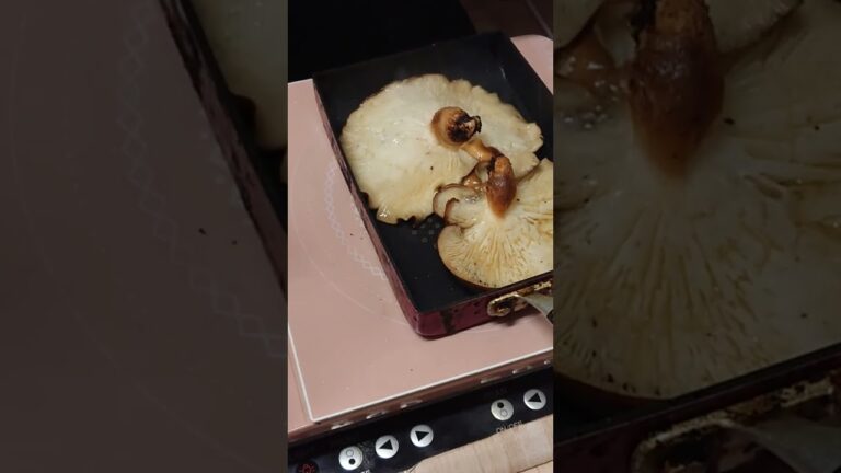 静岡産原木しいたけが焼くだけで最高においしい【お手軽料理 #shorts】
