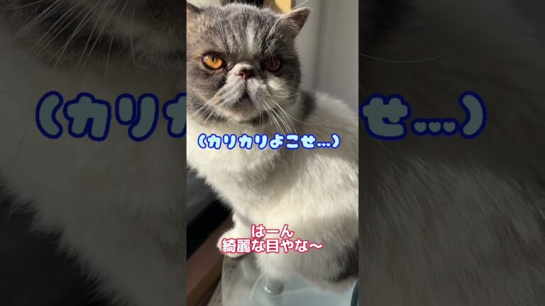 悪魔的に美味い煮卵おにぎり作った結果ww #shorts