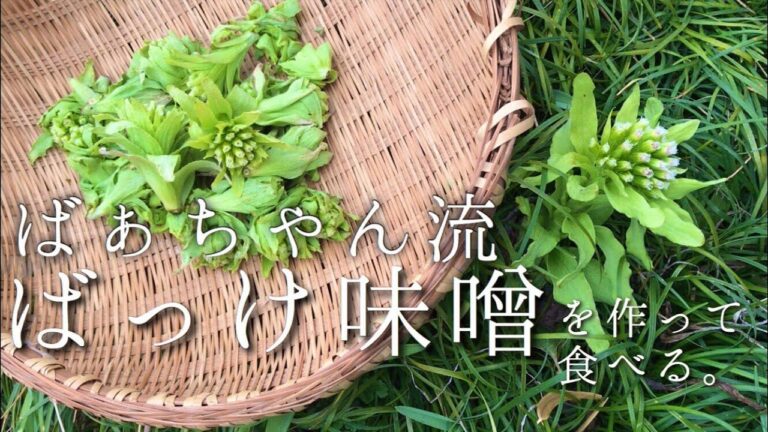 簡単ご飯のお供。ばあちゃんの味 ばっけ味噌を作る