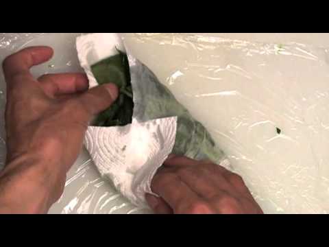 Cooking　Recipes 4 Bento 簡単チャーシューのほうれん草和え