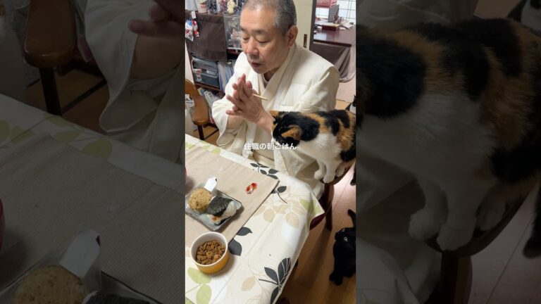 住職の朝ごはん。おにぎり(明太子玉子焼 鶏ごぼう) わかめスープ