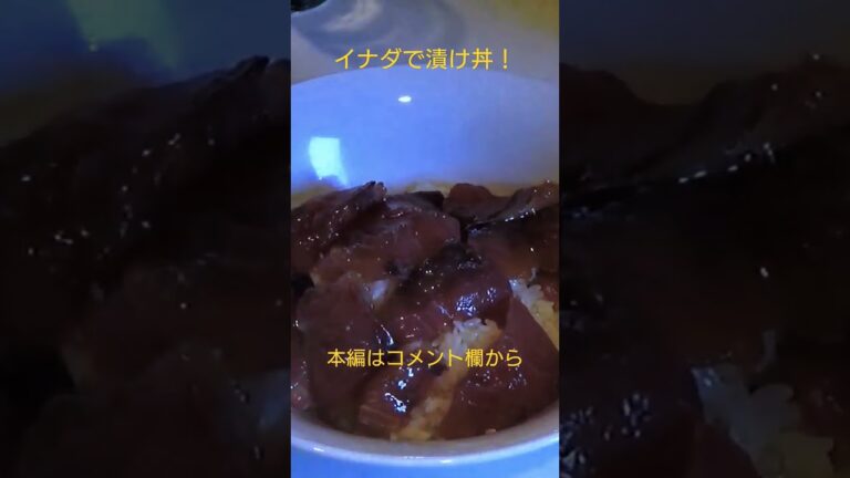 イナダで漬け丼　#漬け　#イナダレシピ　#刺し身　#激ウマ　#short #Shorts