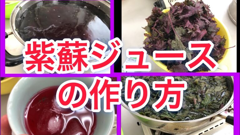 紫蘇ジュースの作り方【すっぱーい】