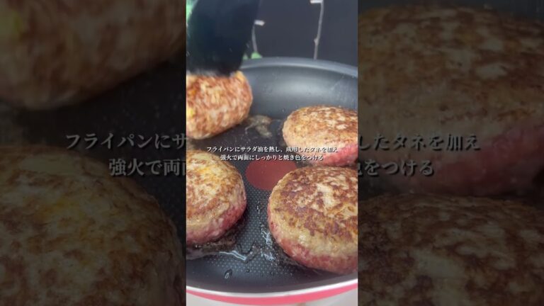 トマトクリーム煮込みハンバーグ