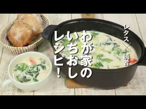 【ちょこっとレシピ】レタスと豚ひき肉のシチュー