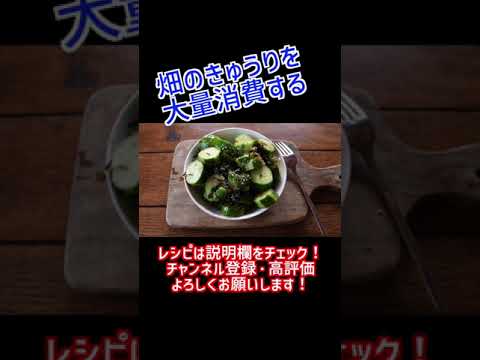 無限にとれるきゅうりを無限に食べる