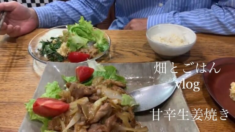 #24季節を味わう暮らし／甘辛生姜焼き／ポテトサラダ／ズッキーニを植えた日