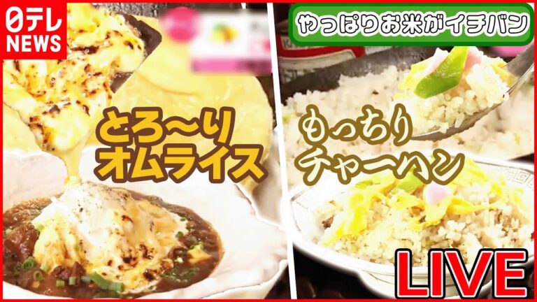 【ご飯ものまとめ】トロトロチーズと和食が融合したオムライス/もっちり新食感チャーハン/オンリーワンな個性派回転ずし/コクとうまみ溢れるマウンテンバーグ　など （日テレニュース LIVE）