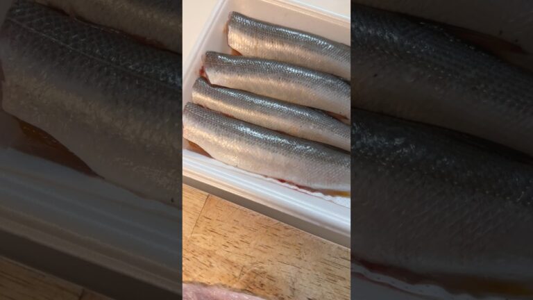 【半額カマスを作り置き冷凍】肉厚！これで300円！開いてフライ用に。#作り置き#作り置きレシピ#魚さばく#魚料理#料理#おうちごはん#レシピ#晩ごはん#ごはん#作り置きおかず#お弁当#料理動画