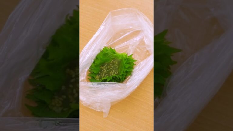 【ごはんのお供に】無限大葉の作り方 #Shorts