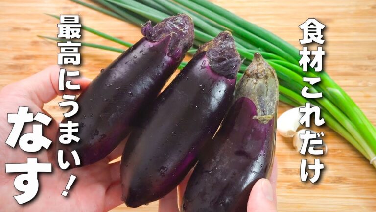 【なすレシピ】ごはんば進む最強おかず！おつまみにもおすすめ！