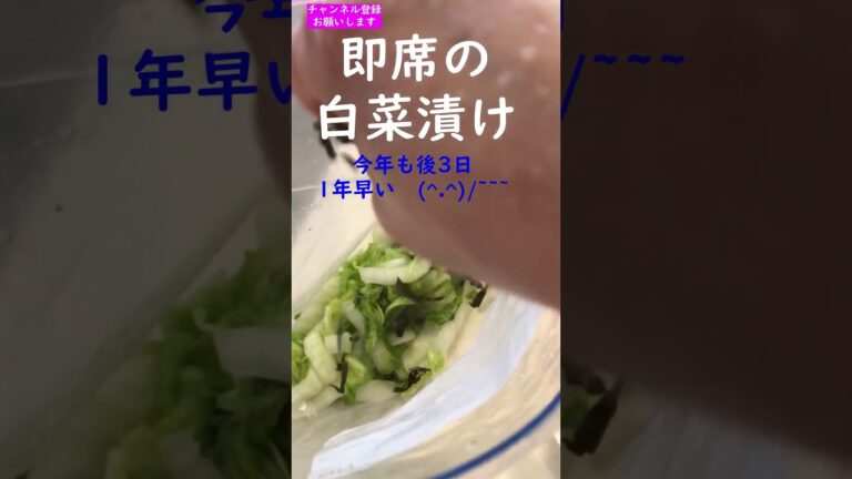 即席白菜漬け　酢少々忘れずに（笑）