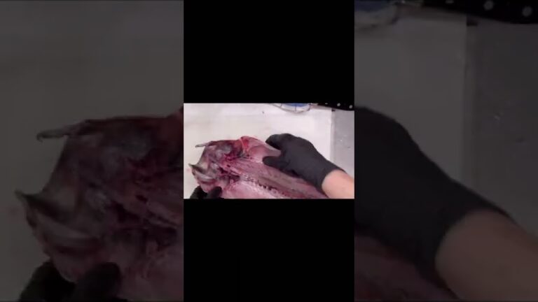 鯖一夜干し🐟〜konoyubikitchen👨‍🍳#food #shorts #cooking #instagram #おうちごはん #料理 #実況 #晩酌 ＃干物#sushi