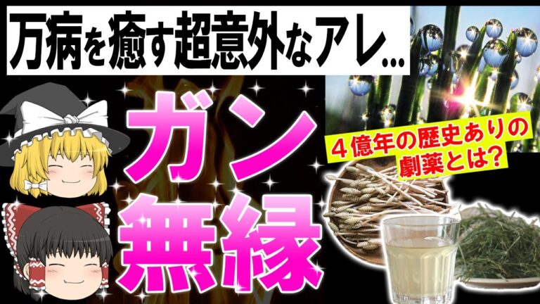 【ゆっくり解説】ガン、ハゲ、肌すべてに効く超意外なあの薬草とは...?