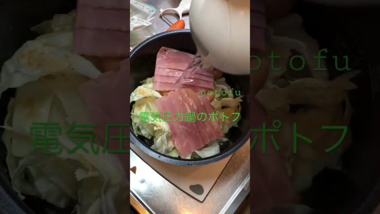 potofu  電気圧力鍋　ポトフ