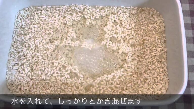 塩糀の作り方 わかりやすくまとめました！