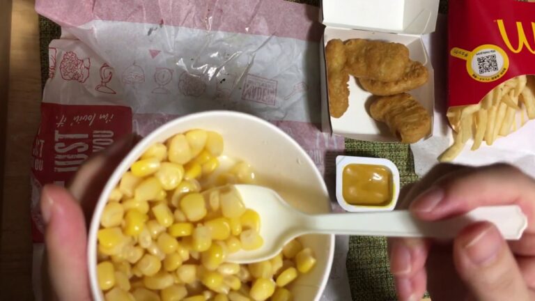 【咀嚼音】マクドナルド  （ASMR Eating Sound）