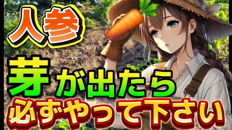 【にんじん】芽が出てから大きくさせる為にこの作業が凄く重要です！！