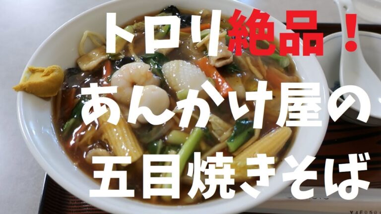 【千葉県】トロリ絶品！あんかけ屋の五目焼きそば【週末の地図ファルカブ】