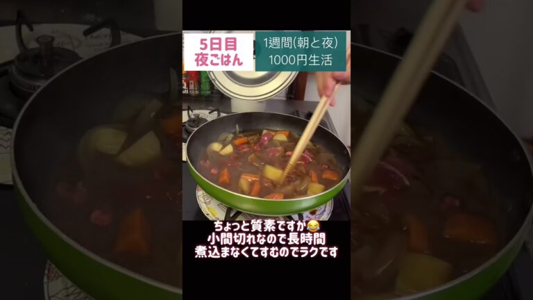 ビーフシチュー、玉子焼き、詳細は本編をご覧ください#節約#料理#ごはん#1人暮らし#自炊#1週間 #1000円#食事#節約生活#レシピ#献立#簡単#1週間の食事#作り置き#副菜#shorts