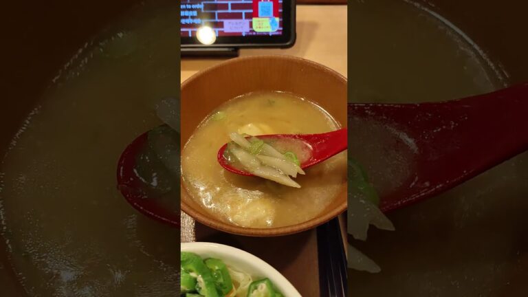 鶏つくねごぼう汁#すき家