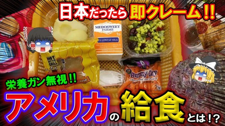 【ゆっくり解説】日本の給食は模範生！？アメリカの給食がありえなさ過ぎた！