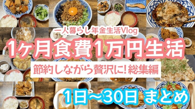 【簡単節約レシピ】65歳一人暮らしの1ヶ月自炊記録【食費1万円生活まとめ】#150 #料理