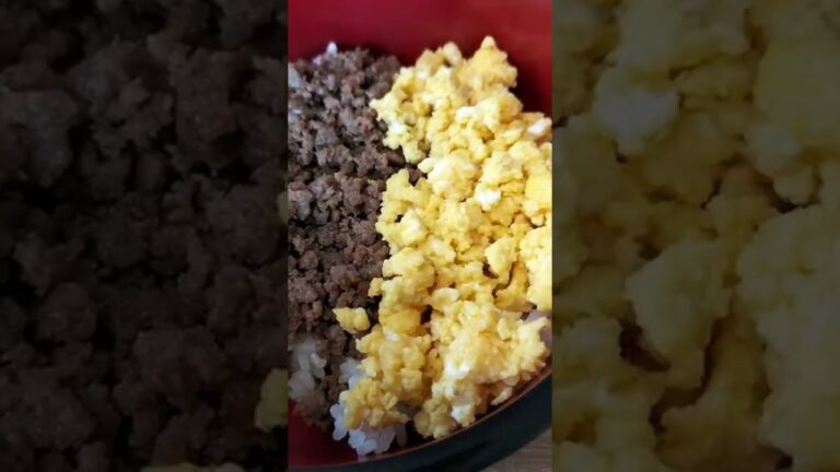 二色丼　22 10 03　＃Shorts