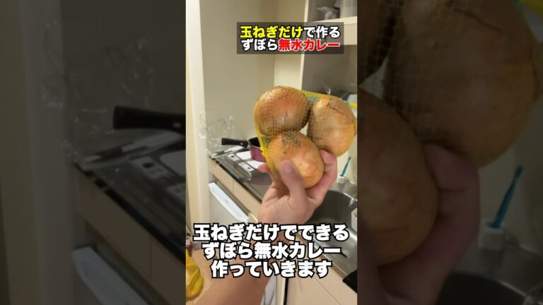 【手取り15万 #節約生活 】 簡単 激安 レシピ 『玉ねぎ だけでできる ずぼら 無水カレー』