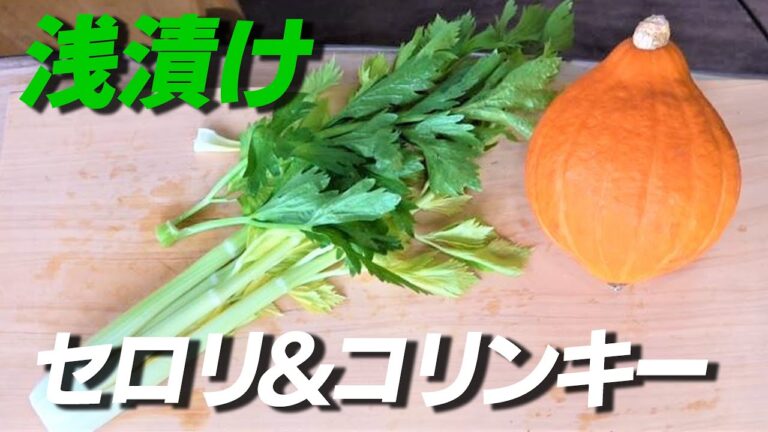 【漬物作り12年の集大成】コリンキーとセロリの浅漬け｜ポリポリ歯ごたえ