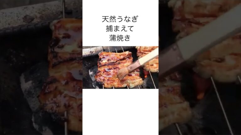 うなぎを捕まえて蒲焼きJapanese cuisine Catching the eel Kabayaki