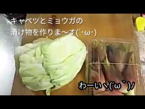 キャベツとミョウガの漬け物