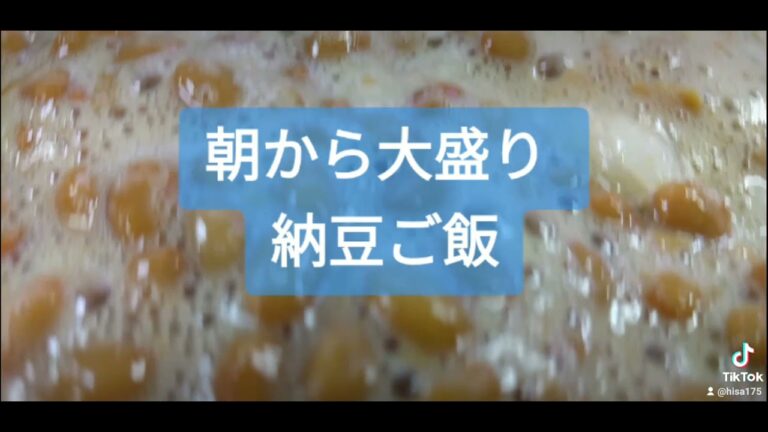 これが納豆ご飯🍴だ！