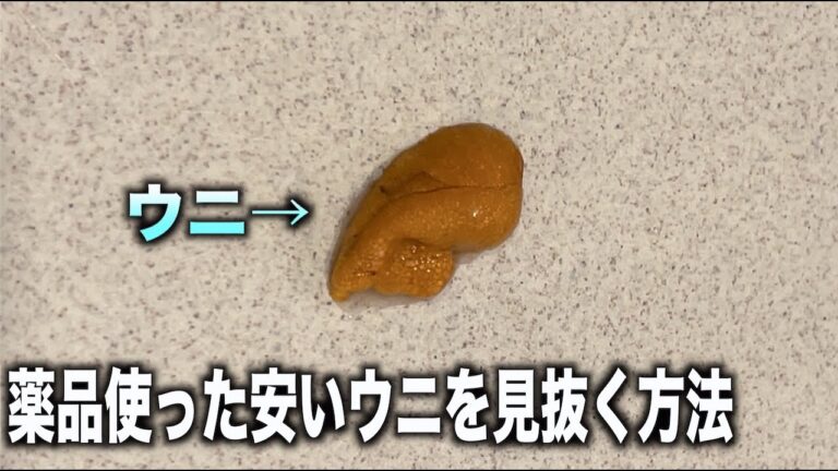 薬品たっぷりの安いウニはこのやり方一発で見抜けます！　#shorts