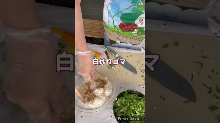 水菜のおむすび