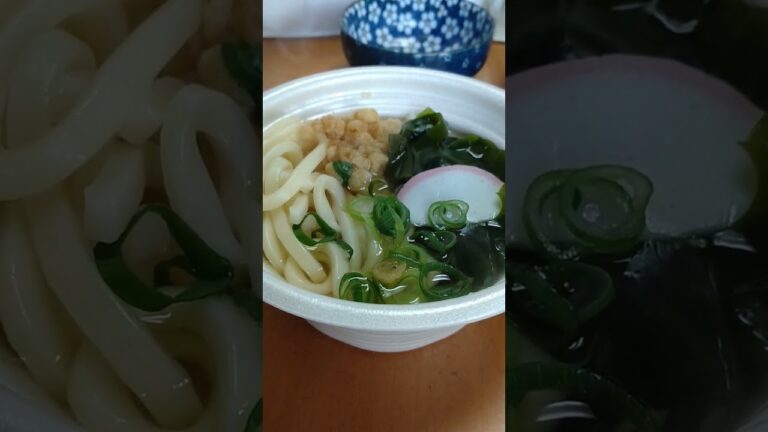 【セブンイレブン】ミニわかめうどんを食う❗②