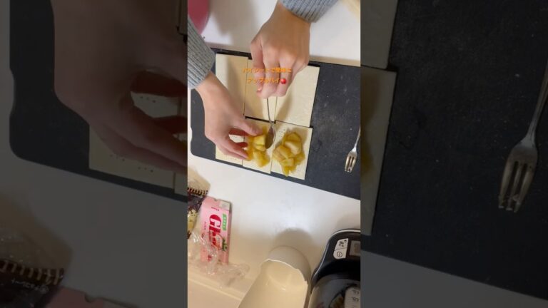 パイシートで簡単にアップルパイ🍎