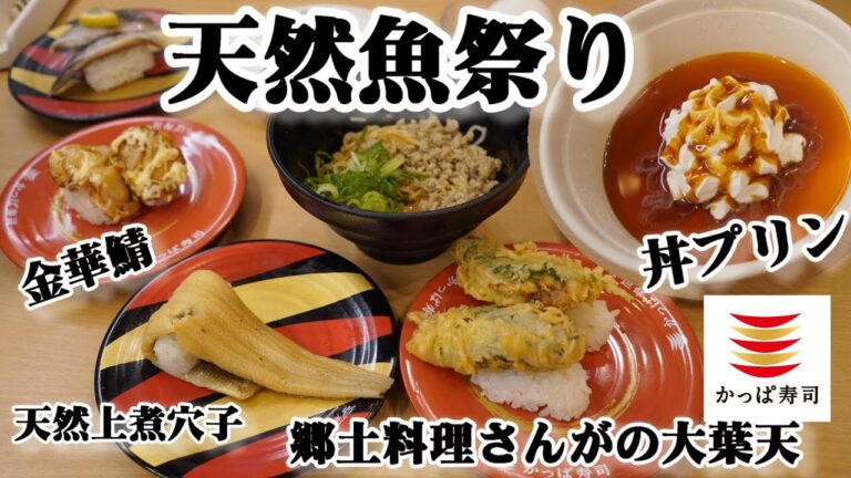 【かっぱ寿司】天然魚祭りで『天然金華鯖食べ比べ』謎の漁師料理アレンジ『郷土料理さんがの大葉包み天にぎり』　やんちゃ企画！びっくりボリューム『丼プリン』　回転寿司レビュー・スイーツ動画