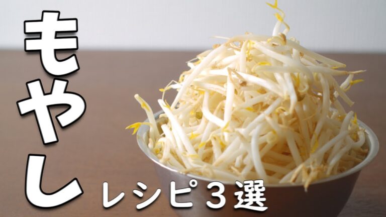もやし を使った 簡単 レシピ3選 脇役から主役に大変身