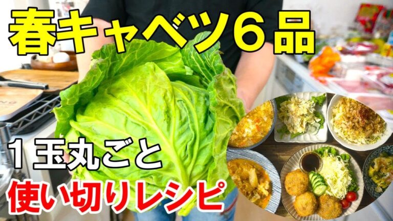 【再UP】『春キャベツ１玉使い切り！』☆旬のキャベツで６品！もりもり食べれるおすすめレシピ集！