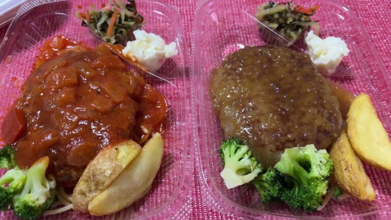 ほっともっと　ラタトゥイユ仕立てごろっと野菜のトマトソースハンバーグ弁当たっぷり＆たっぷり玉ねぎでさっぱり和風オニオンソースハンバーグ弁当