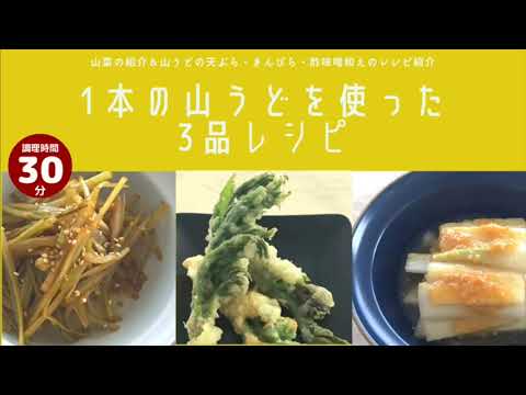【九州屋】1本の山うどを使った3品レシピ～天ぷら・酢味噌和え・きんぴら〜
