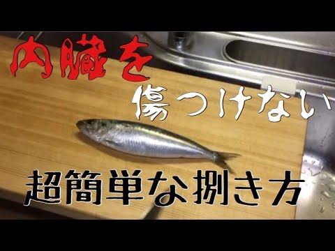 内臓が傷つかない！？簡単イワシの捌き方