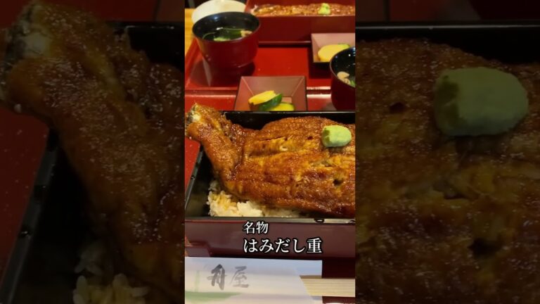 大阪 寺田町、行列のできる鰻屋〝舟屋〟さんで、名物のうな重を食べてみた！　#うなぎ舟屋 #うなぎ #舟屋 #大阪グルメ #寺田町グルメ #うな重 #うな丼