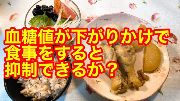 手羽元梅煮、サラダ下がり傾向で食べ始めると血糖値はどうなる？