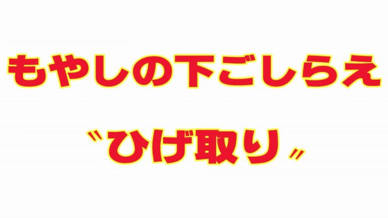 もやしの下ごしらえ〝ひげ取り〟